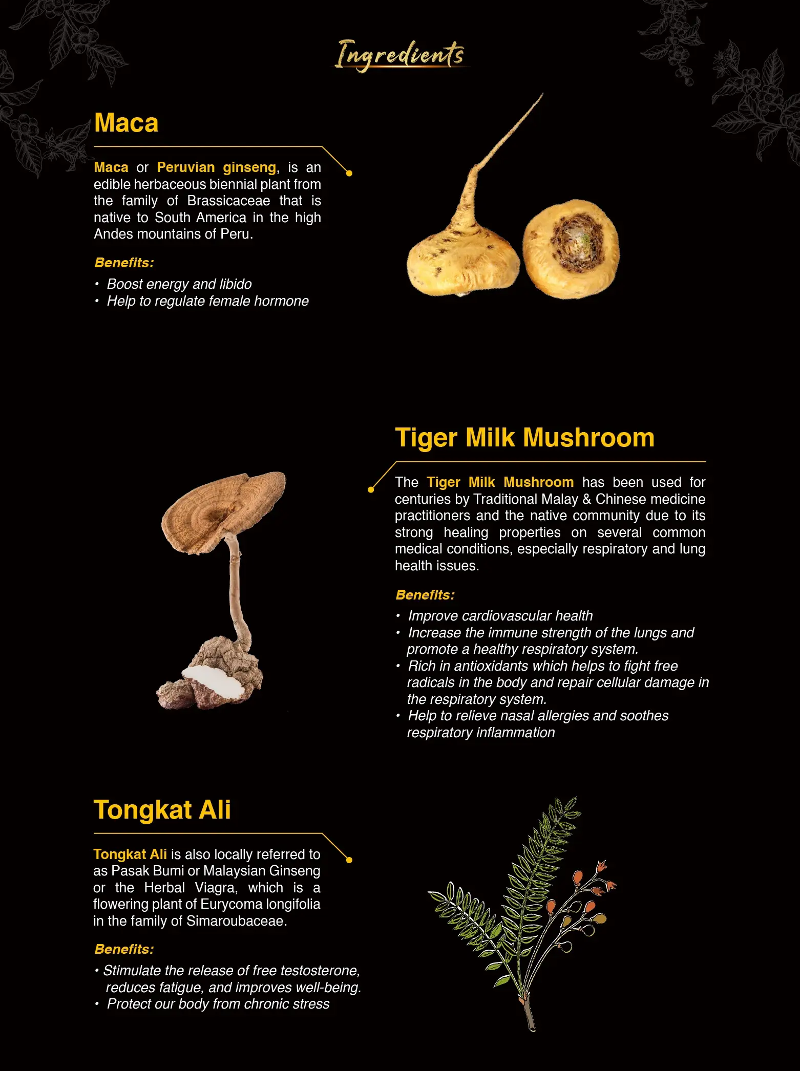 SRC - Super Root Coffee